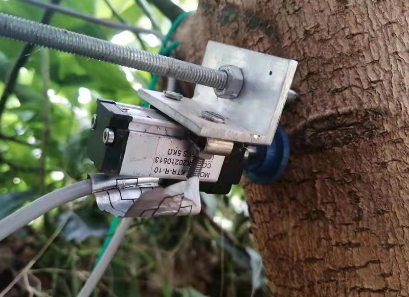 江西SOP自恢复KTR传感器如何实时监控树/果的成长
